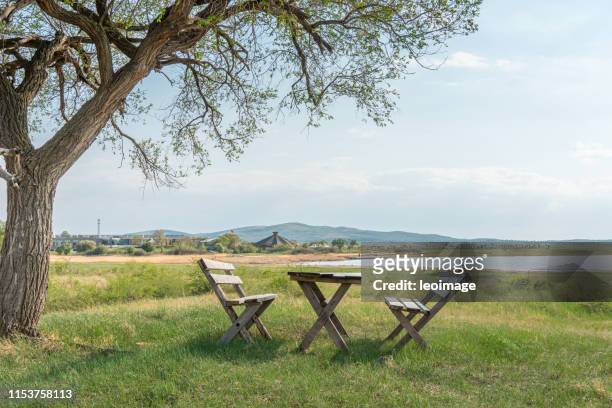 picnic table under the tree - riverbank stock pictures, royalty-free photos & images