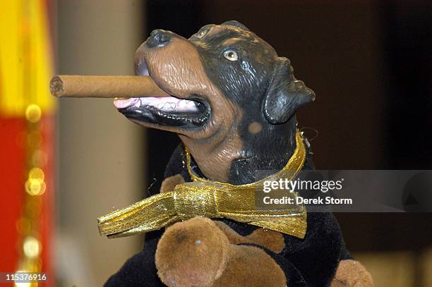 Triumph the Insult Comic Dog during Triumph The Insult Comic Dog Promotes His DVD "Late Night with Conan O'Brien - The Best of Triumph the Insult...