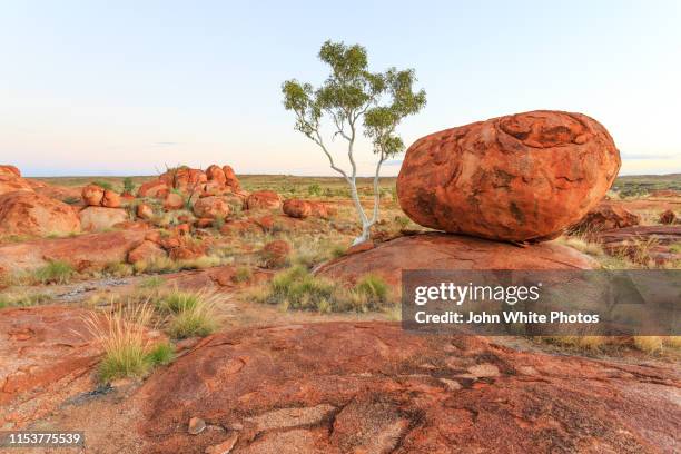 karlu karlu / devils marbles conservation reserve. northern territory. australia. - northern territory australia stock pictures, royalty-free photos & images