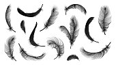 Vector feathers collection