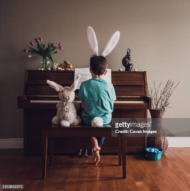 boy wearing bunny ears playing piano with stuffed rabbit beside him. - funny easter bildbanksfoton och bilder