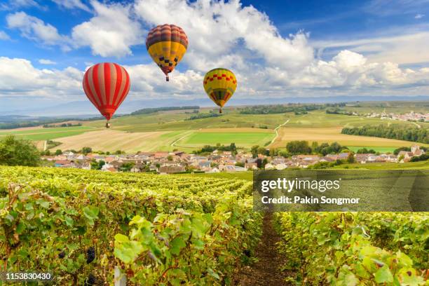 colorful hot air balloons flying over champagne vineyards at sunset montagne de reims - french landscape stock pictures, royalty-free photos & images