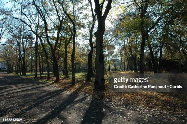 The park of Maisons-Laffitte of 333 ha created by architect François Mansart who built the castle in 1651, on October 7, 2018. Parisian banker...