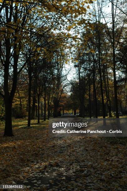 The park of Maisons-Laffitte of 333 ha created by architect François Mansart who built the castle in 1651, on October 7, 2018. Parisian banker...