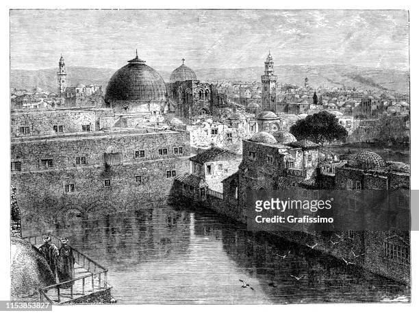 histias pond in jerusalem israel - temple mount stock illustrations