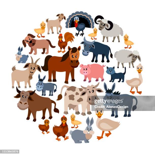 farm animals collage - livestock stock illustrations