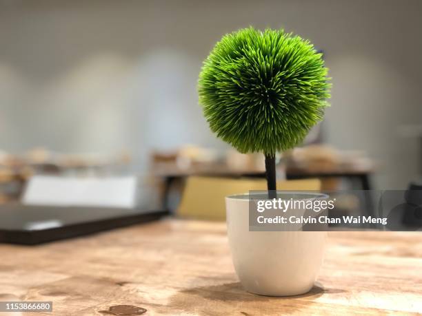 artificial table pottery plant - fake plant stock pictures, royalty-free photos & images