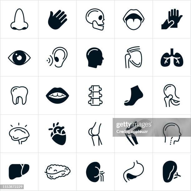 bildbanksillustrationer, clip art samt tecknat material och ikoner med mänskliga kropps delar ikoner - människans bukspottkörtel