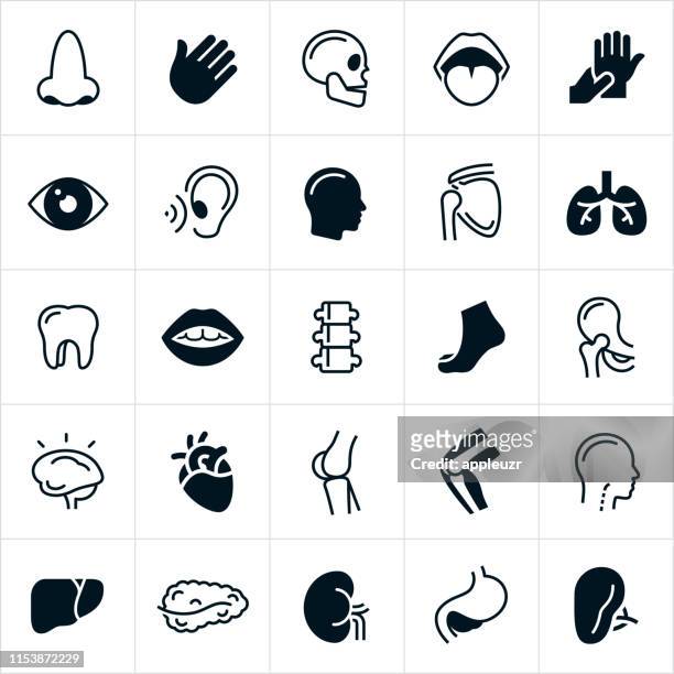 human body parts icons - human pancreas stock illustrations