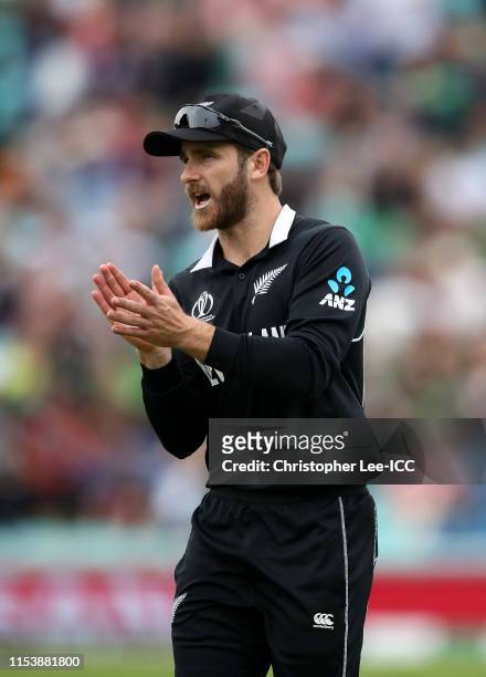 Kane Williamson of New Zealand reacts during the Group Stage match of the ICC Cricket World Cup 2019 between Bangladesh and New Zealand at The Oval...