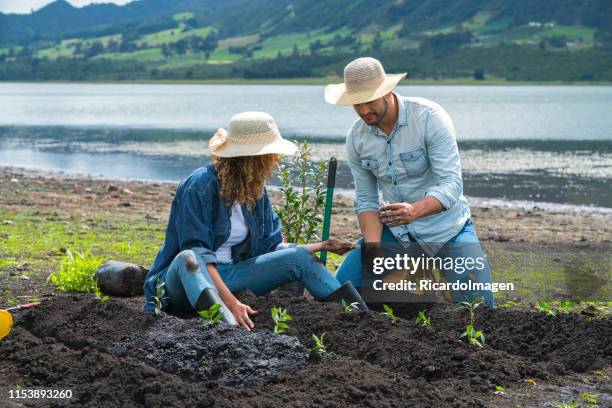arbor day - ozone layer stock pictures, royalty-free photos & images