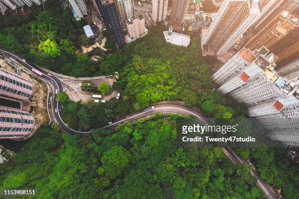 aerial view of curve road in forest against buildings in hong kong - città foto e immagini stock