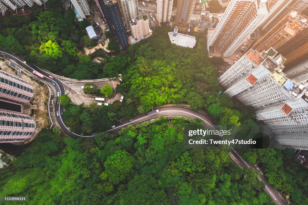 Aerial view of curve road in forest against buildings in Hong Kong