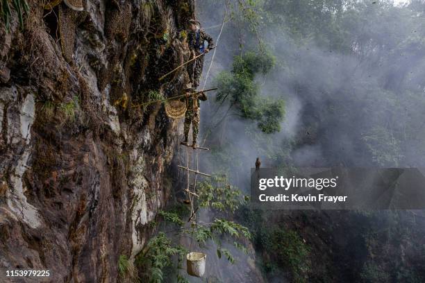 Chinese ethnic Lisu honey hunters Dong Haifa, top, and Mi Qiaoyun stand on a makeshift rope ladder as they are surrounded by bees as they work...