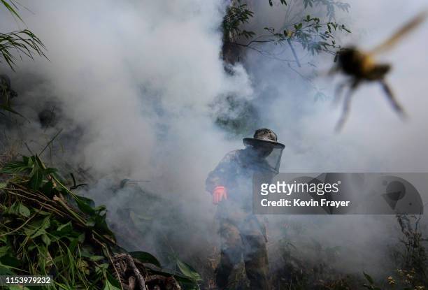 Chinese ethnic Lisu honey hunter Ma Yongde walks in smoke after making a fire before gathering wild cliff honey from hives in a gorge on May 10, 2019...