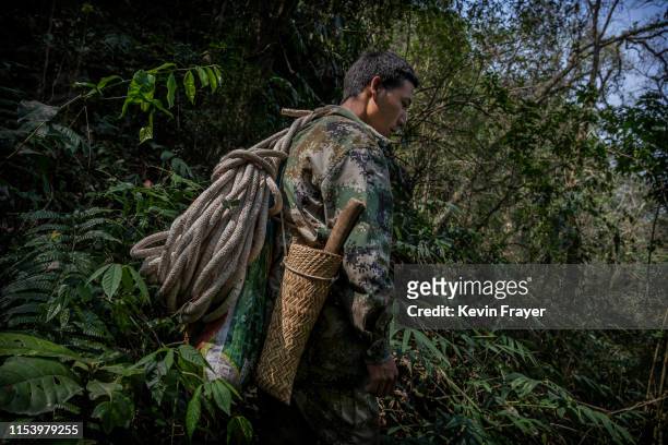 Chinese ethnic Lisu honey hunter Ma Yongde carries ropes and gear on his to gathering wild cliff honey from hives in a gorge on May 10, 2019 near...