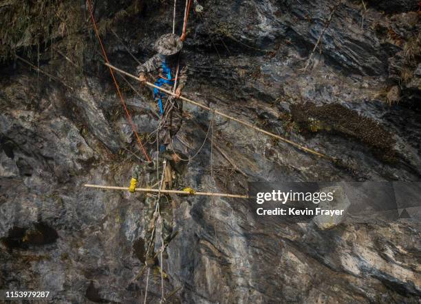 Chinese ethnic Lisu honey hunters Dong Haifa, top, and Mi Qiaoyun stand on a makeshift rope ladder while gathering wild cliff honey from hives in a...