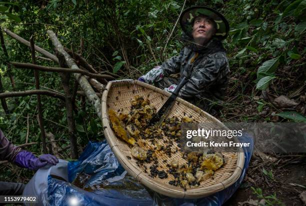 Helper looks up as he waits for more fresh wild cliff honey as Chinese ethnic Lisu honey hunters, not seen, gather it in a gorge on May 11, 2019 near...