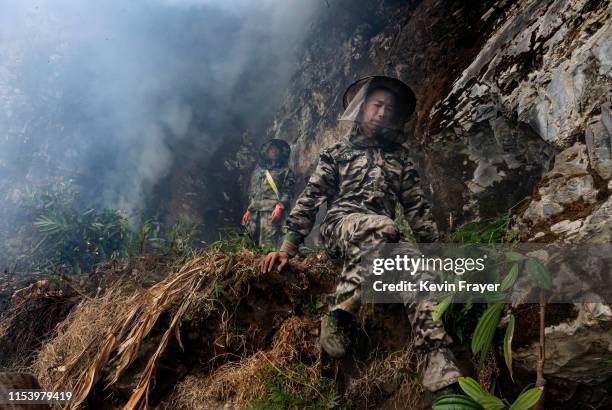 Chinese ethnic Lisu honey hunters Dong Haifa, right, and Ma Yongde set a fire to deter bees before gathering wild cliff honey from hives in a gorge...