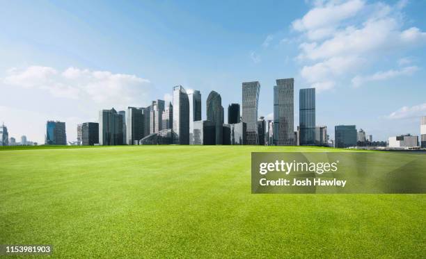 city  park - lush lawn stock pictures, royalty-free photos & images