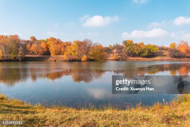 reflection of autumn color in a lake - borde del agua fotografías e imágenes de stock