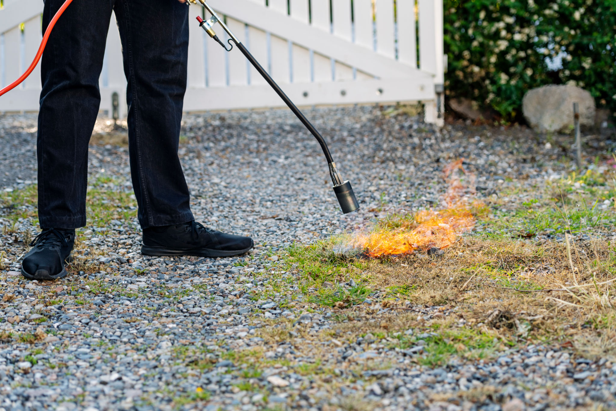weed removal driveway