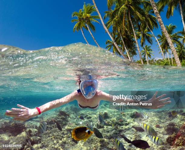 snorkeling near a tropical island. beautiful girl swims in the water. - schnorchel stock-fotos und bilder