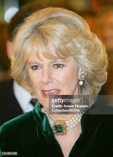 Camilla, Duchess of Cornwall, tours the Burlington Arcade in London, November 17 after turning on the Christmas lights. The ceremony was in aid of...