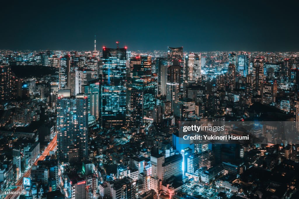 The view of Tokyo Skyline at Night