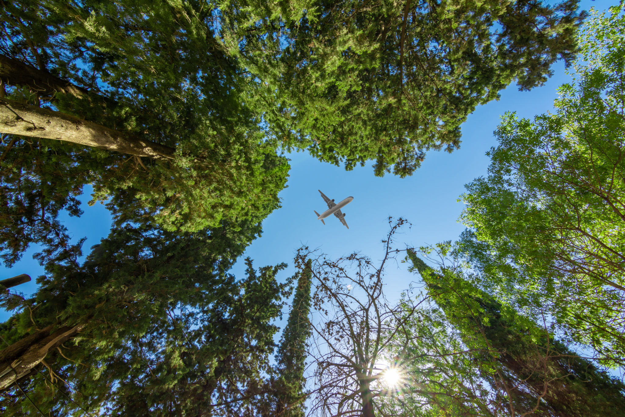 aviation environment