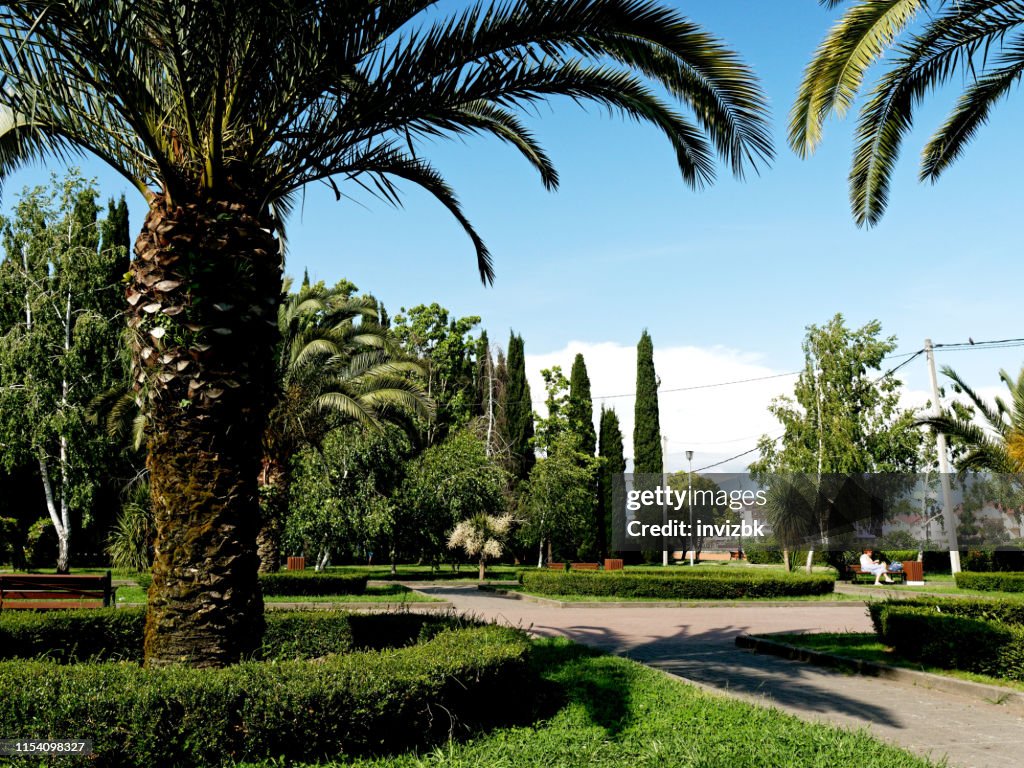 Stadspark in de zomer