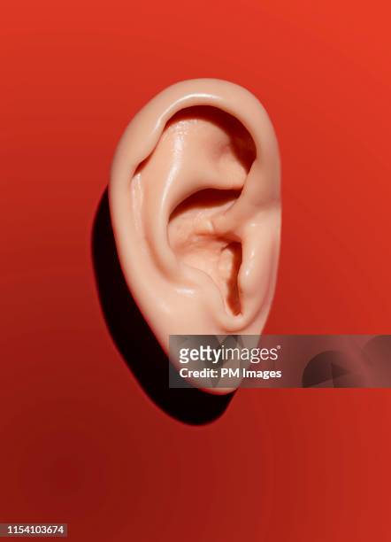human ear - ear close up foto e immagini stock