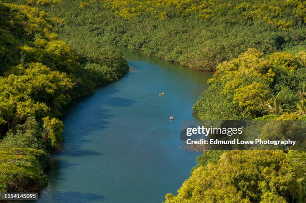 Hawaii Rivers Hawaii Rivers Photos and Premium High Res Pictures - Getty Images