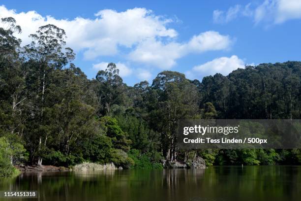 berkeleysf - emeryville stock pictures, royalty-free photos & images