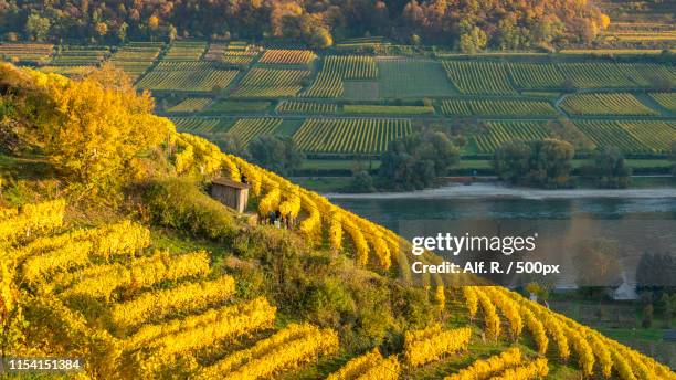 this is the wachau, spitz - donautal stock-fotos und bilder