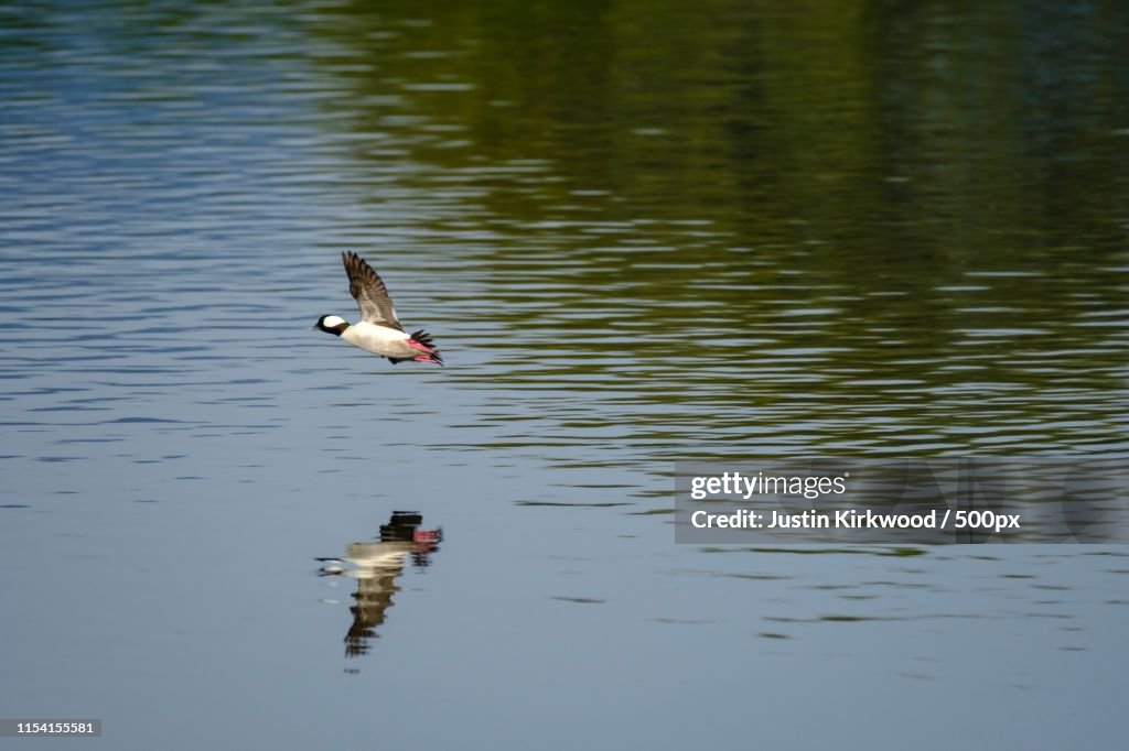 Landing