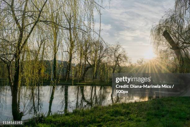 sunrise - bucharest stock pictures, royalty-free photos & images