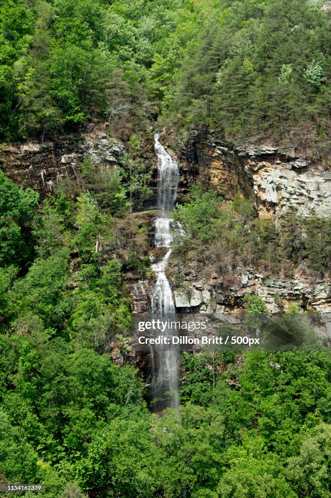 Across Cloudland Canyon