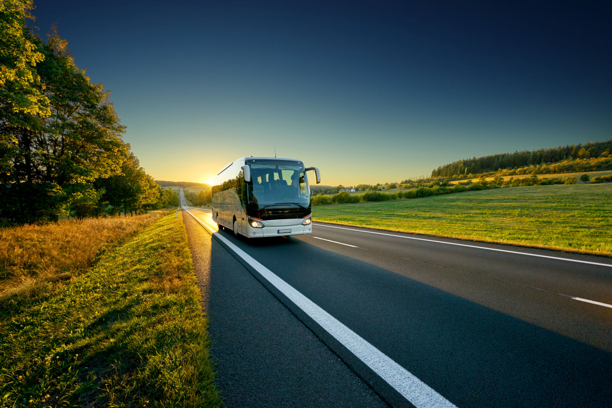 bus travel