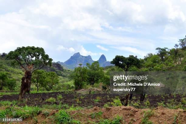 northern ugandan mountain landscape - agroforestry stockfoto's en -beelden