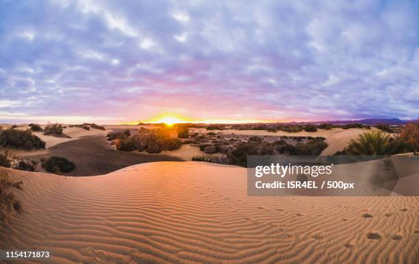 sunset - maspalomas imagens e fotografias de stock