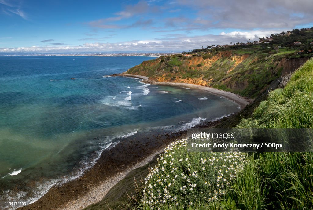 Vivid Bluff Cove In Spring