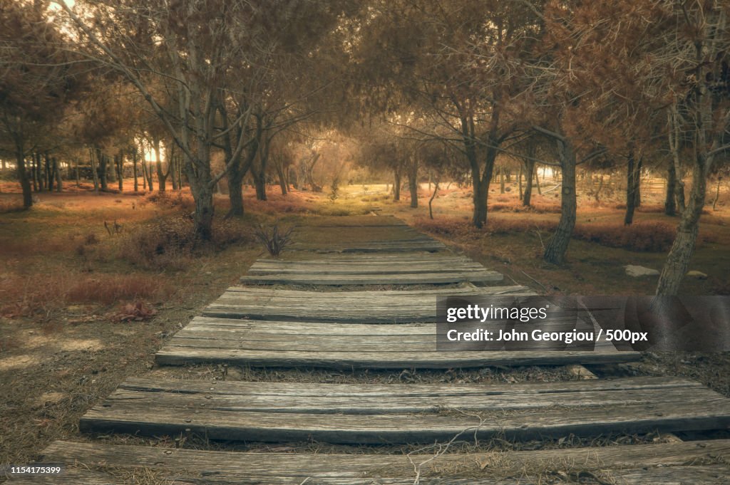 Pathway