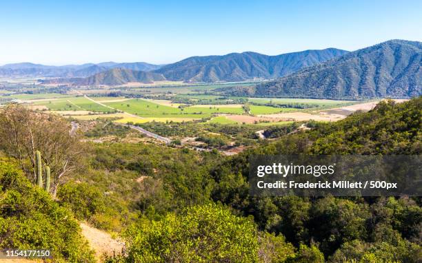 casablanca wine region, chile - valparaíso chili stockfoto's en -beelden