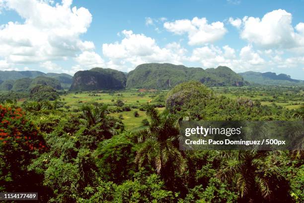 viñales - viñales cuba 個照片及圖片檔