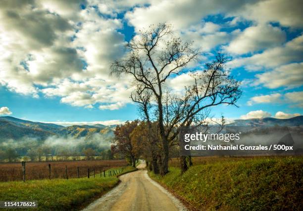 road less travelled - gatlinburg stock pictures, royalty-free photos & images