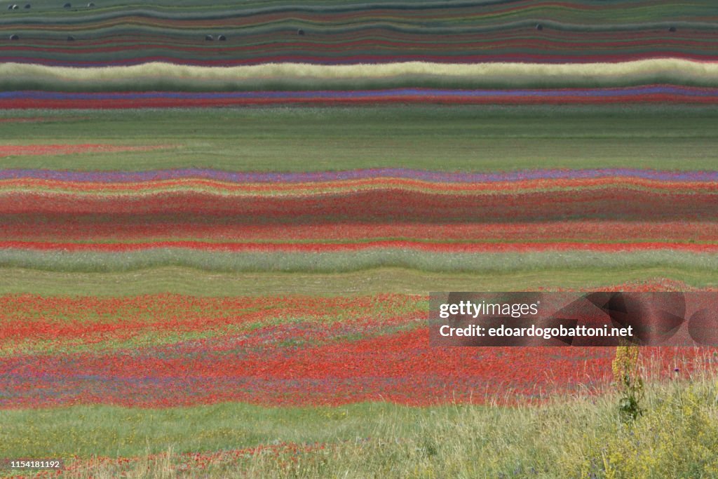 Abstract landscape 29