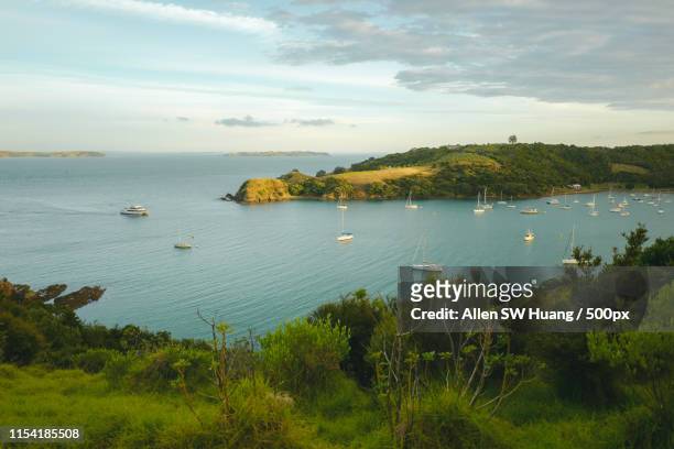 welcome to waiheke - allen sw huang stock pictures, royalty-free photos & images