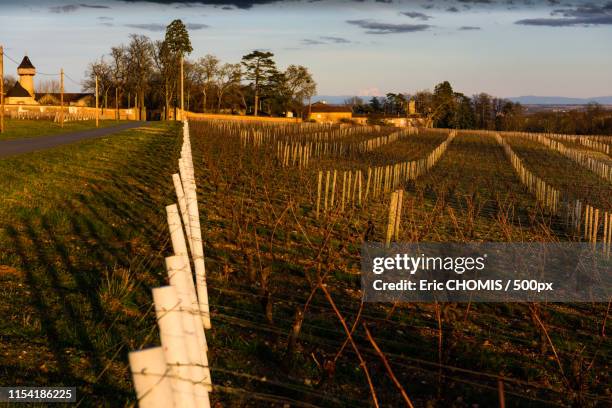 off mont blanc - belleville ontario photos et images de collection