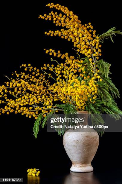 on the table is a vase with mimosa on a black background - mimosa bildbanksfoton och bilder